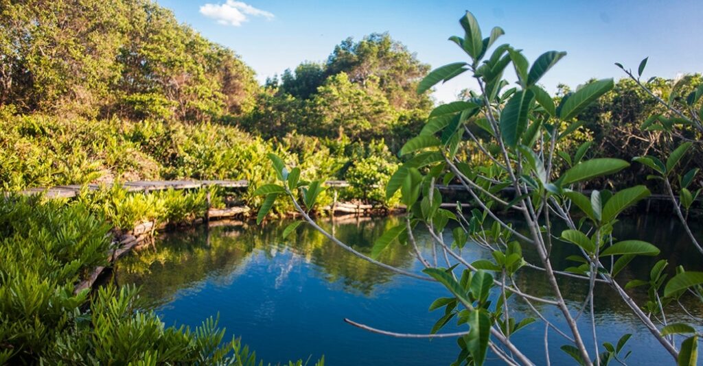 Yucatán entre los mejores lugares para viajar en 2022 la revista del sureste mx Cenotes Y Playas En Yucatan La Mezcla Perfecta Para Disfrutar