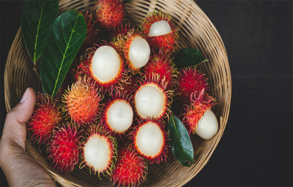 Rambutan Chiapas Productores