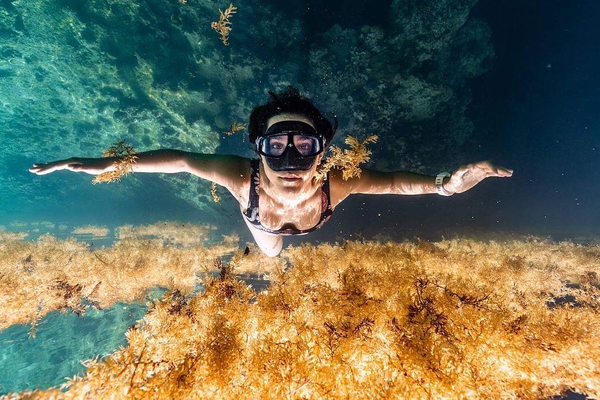 Buceadora de quintana roo lucha por la preservación de los cenotes la revista del sureste mx 217918110 1483233332032750 3861902642203866874 N