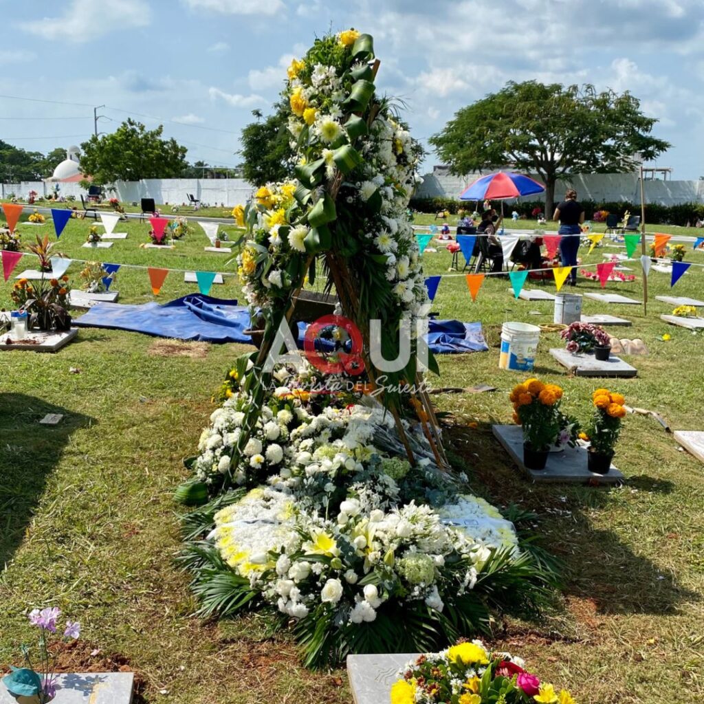 Whatsapp Image 2021 11 01 At 1.27.56 Pm