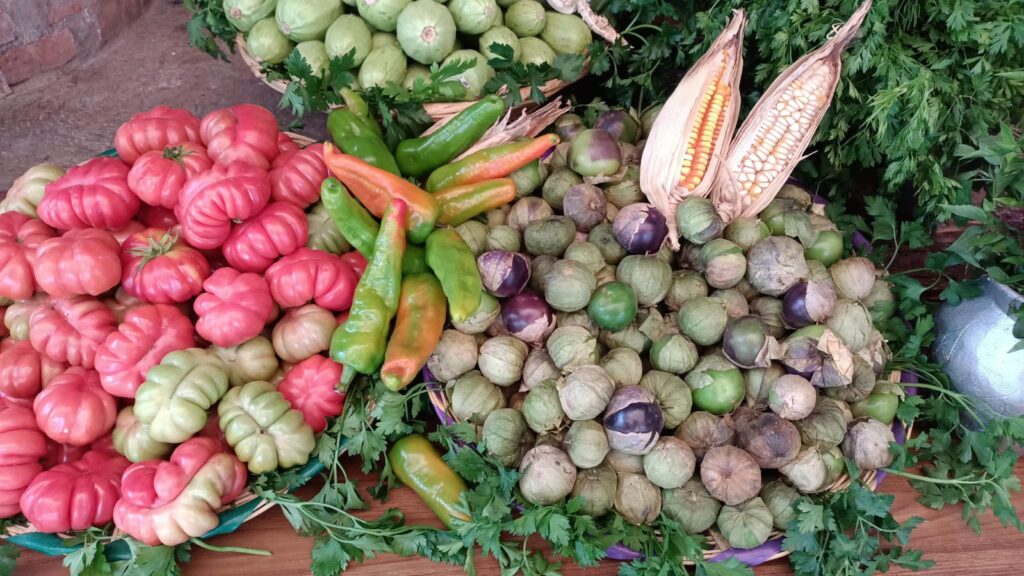 Todo listo para zimatlán gastronómico en oaxaca la revista del sureste mx 4D55De8C 732A 4F02 B66D 7B8C1699F311