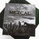 “Mezcal, Orgullo de México” Descubre la tradición detrás de esta bebida ancestral