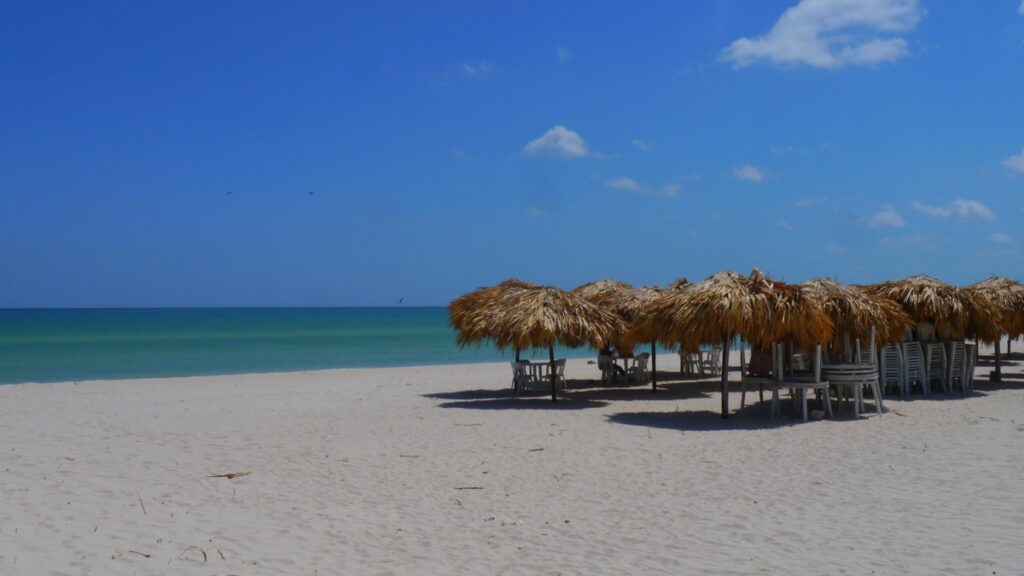Las mejores playas de Yucatán, que deberías conocer Yucatán tiene muchos atractivos, entre los cuales están sus hermosas playas de arena fina y aguas cristalinas. Aléjate del calor de la ciudad y refréscate en alguna de las mejores playas del estado yucateco.  https://larevistadelsureste.com