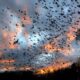 Este es el volcán de Campeche que resguarda millones de murciélagos