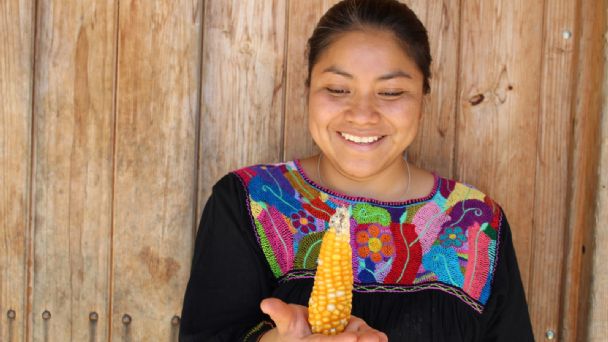 F608X342 14575 44298 15 2